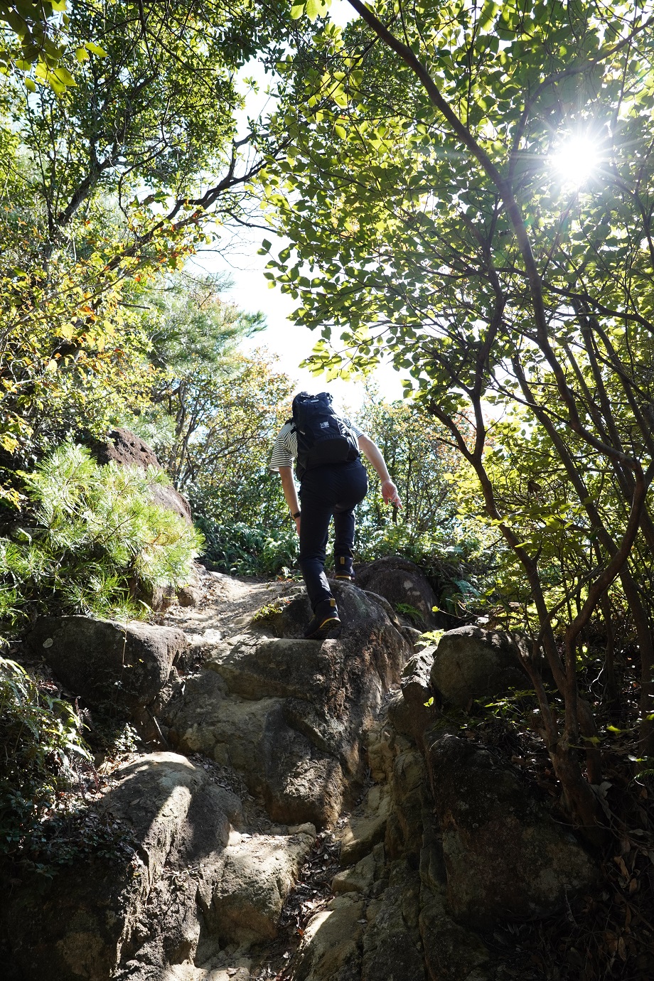 The trail on Mt. Takao